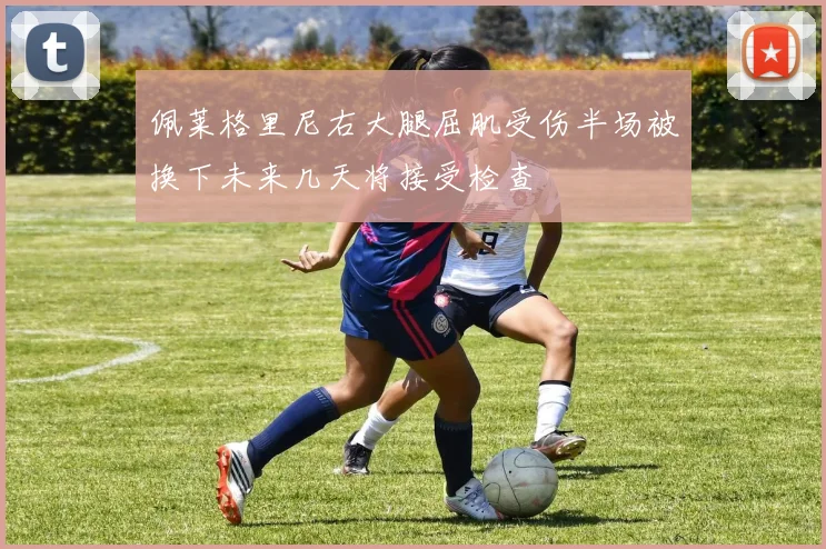 佩莱格里尼右大腿屈肌受伤半场被换下未来几天将接受检查