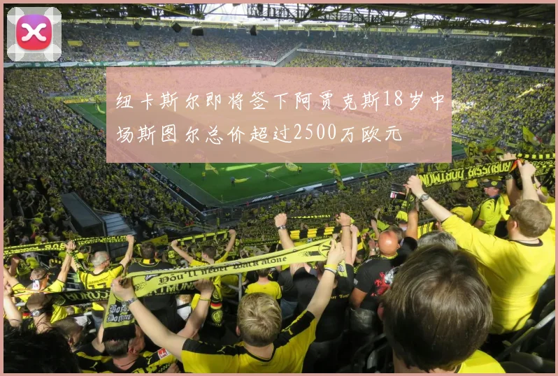 纽卡斯尔即将签下阿贾克斯18岁中场斯图尔总价超过2500万欧元